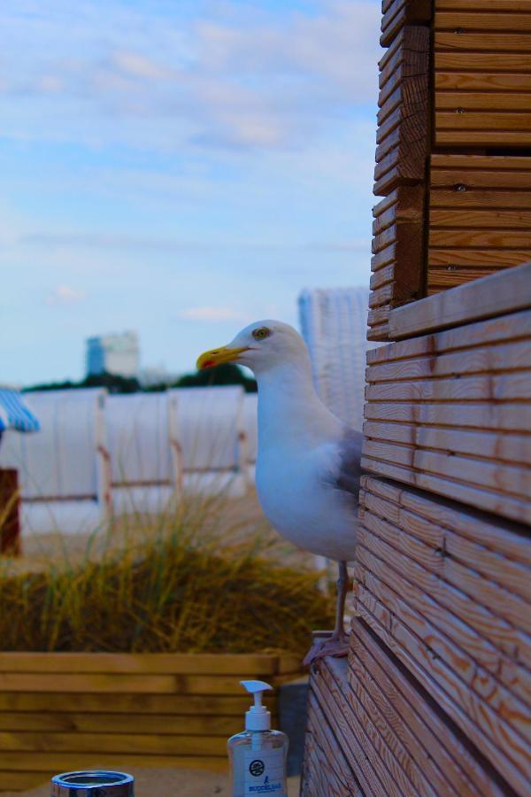 Apartment Seaside Süsel, Lübecker Bucht, Ostsee