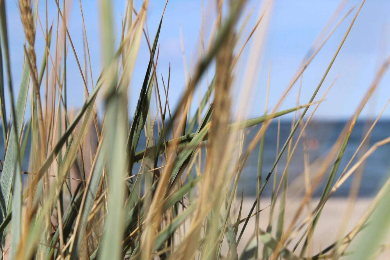 Seaside Suesel, Luebecker Bucht, Ostsee *